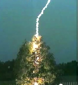 Video der Woche: Ein Blitz schlägt in einen Baum