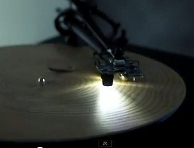 Video der Woche: So klingt das Leben eines Baumes