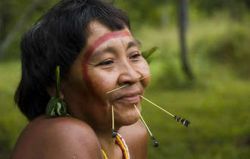 20 Jahre Yanomami-Park in Brasilien