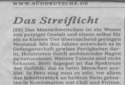 Meerschweinchen im Streiflicht