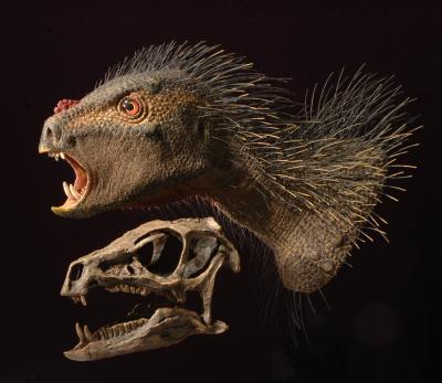 Video der Woche: Mini-Vampir-Dino in 3D