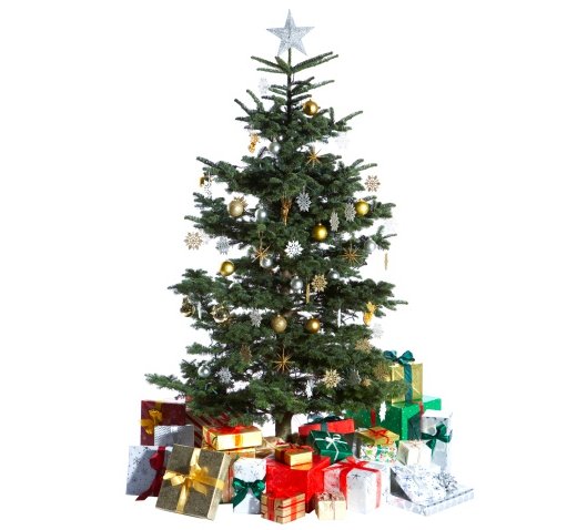 Lebt der Weihnachtsbaum noch?