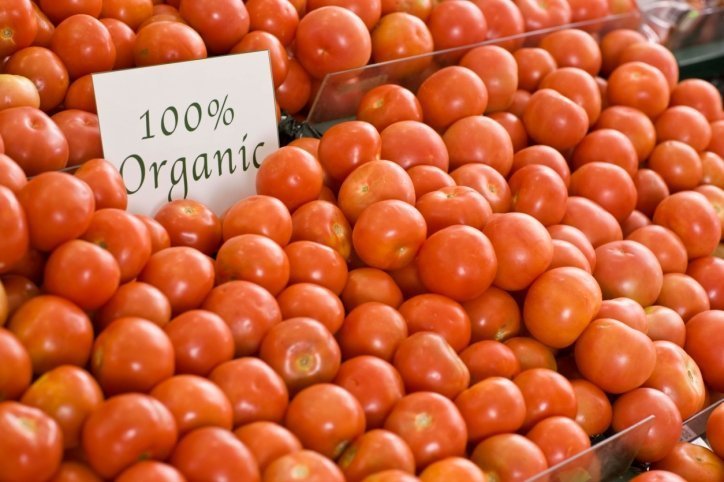 Stresstest für die Bio-Tomate