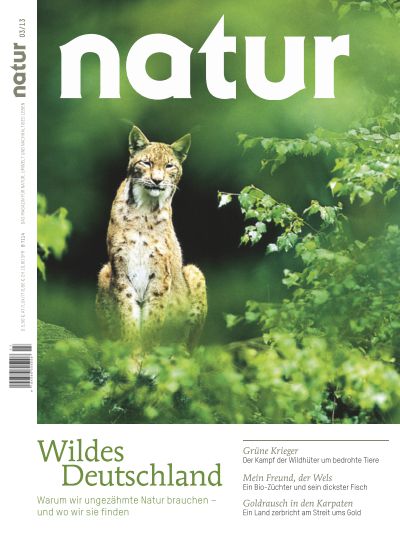 Wildes Deutschland