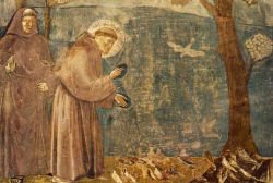 Franziskus war ein Freund der Tiere