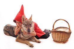 Die Angst vorm bösen Wolf
