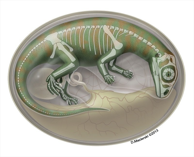 Ein Haufen Dino-Babys