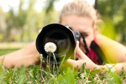 Naturfotos wieder online!