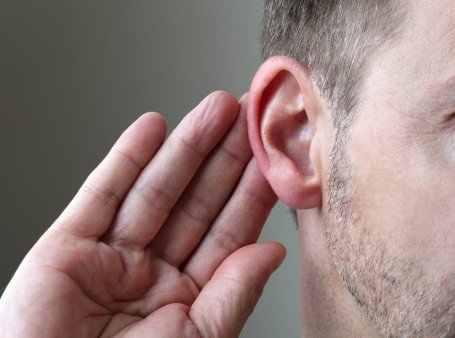 Ein männliches Ohr für Größe