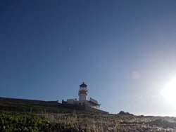 Von Seeadlern und Torfmoosen