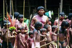 In Brasilien erobern Yanomami-Indianer ihr Land zurück
