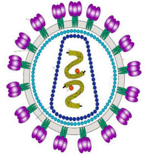 Heilen mit Hilfe von HIV