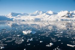 Im antarktischen Ozean könnte in diesen Tagen das größte Meeresschutzgebiet der Welt
entstehen