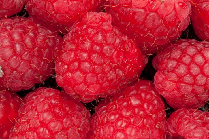 Von blauen Himbeeren und erregender Musik