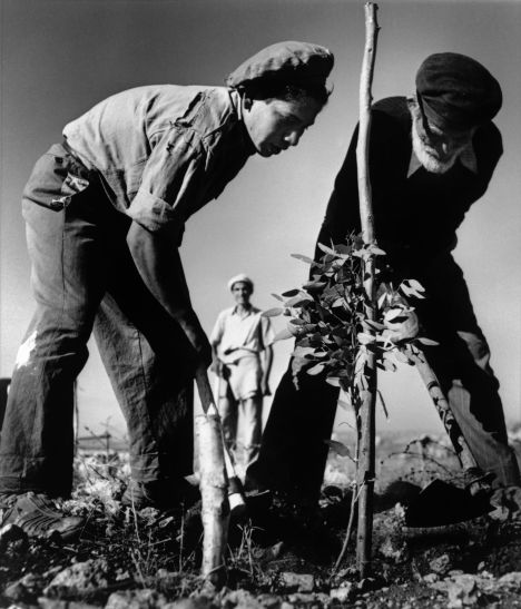 Robert Capa: Eindrücke aus Israel nach der Staatsgründung