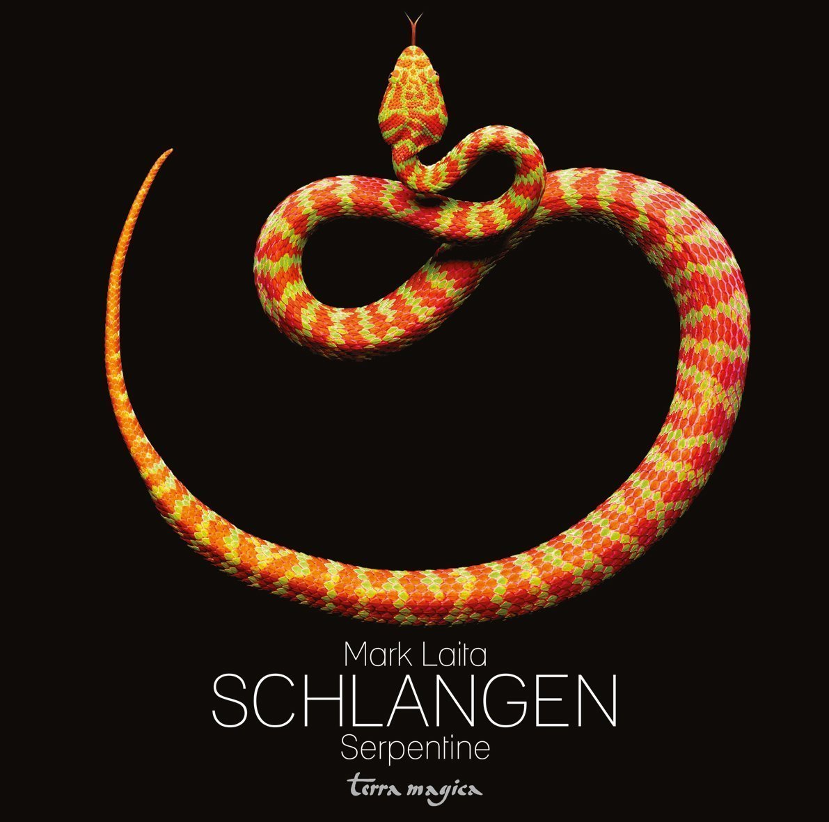 Schlangen