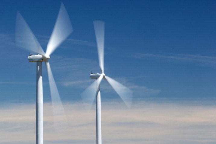 Windräder: Todesfallen für Fledermäuse
