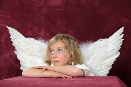 Warum es keine Wesen mit Engel-Anatomie gibt