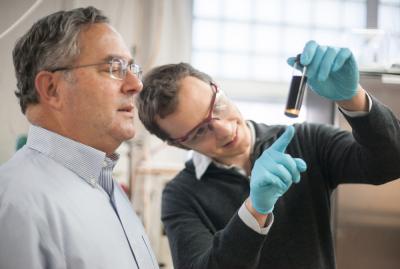 Biosprit: Forscher knacken Pflanzenfasern