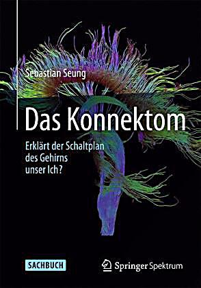 Das Konnektom