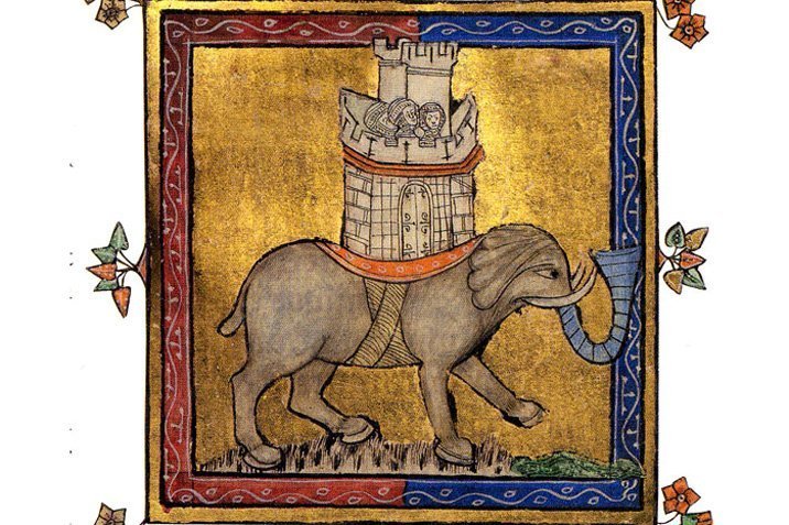 Die zwergwüchsigen Elefanten des Pharao