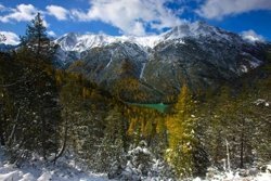 Wildnis aus Menschenhand