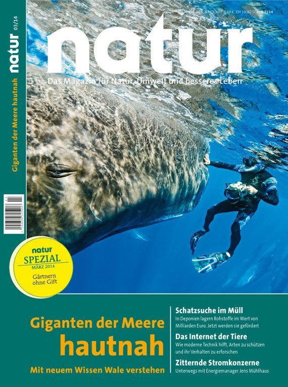 Giganten der Meere hautnah