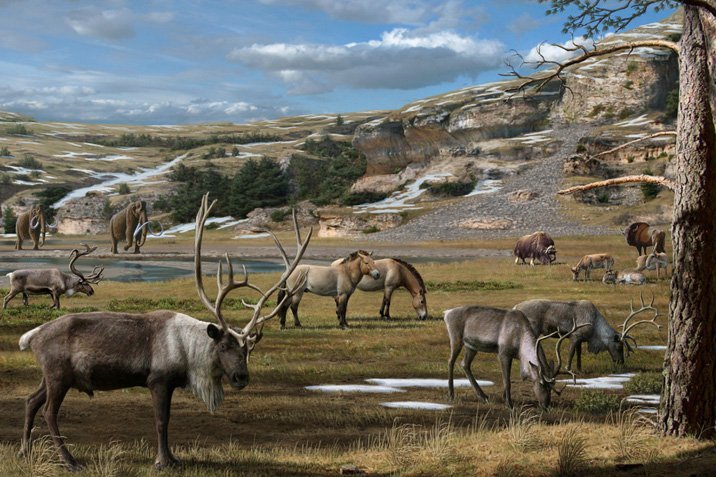 Mythos Mammutsteppe