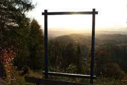 Bildschöne Waldkulisse