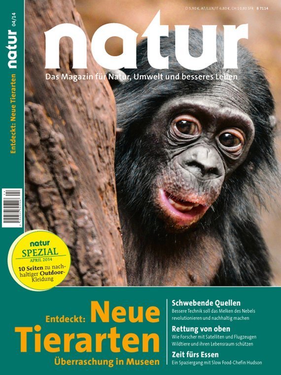 Entdeckt: Neue Tierarten