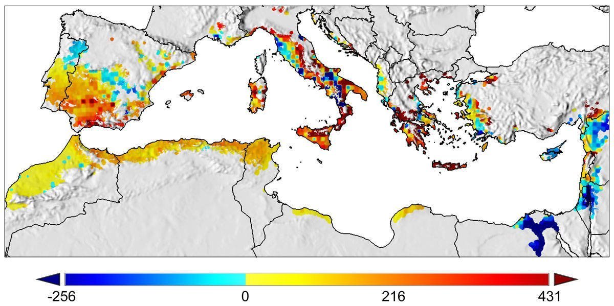Olivenanbau: Gewinner und Verlierer beim Klimawandel