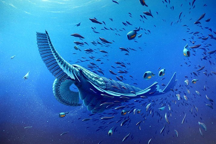 Sanfte Riesen im Urzeitmeer