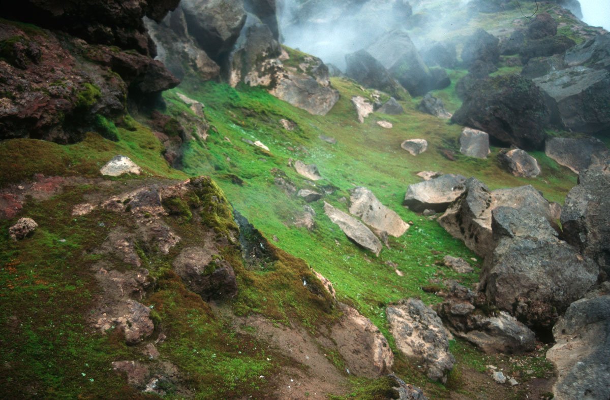 Vulkane: Rettungsinseln des Lebens in kalten Zeiten