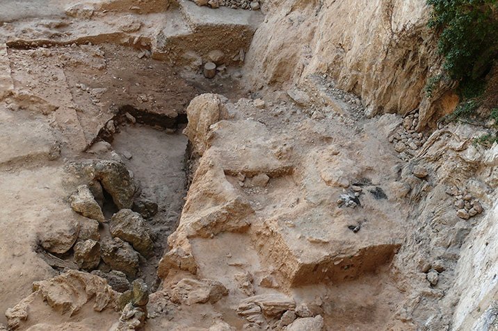 Neandertaler-Kot verrät ihren Speiseplan