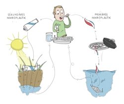 Wachs statt Mikroplastik