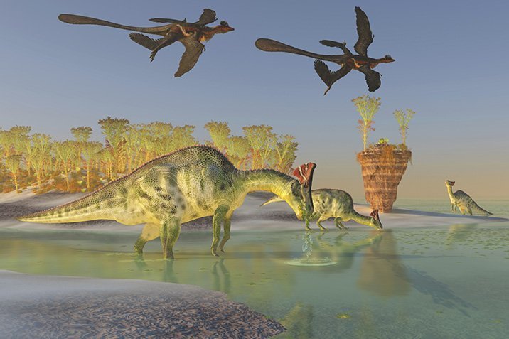 Archaeopteryx mit Federhosen