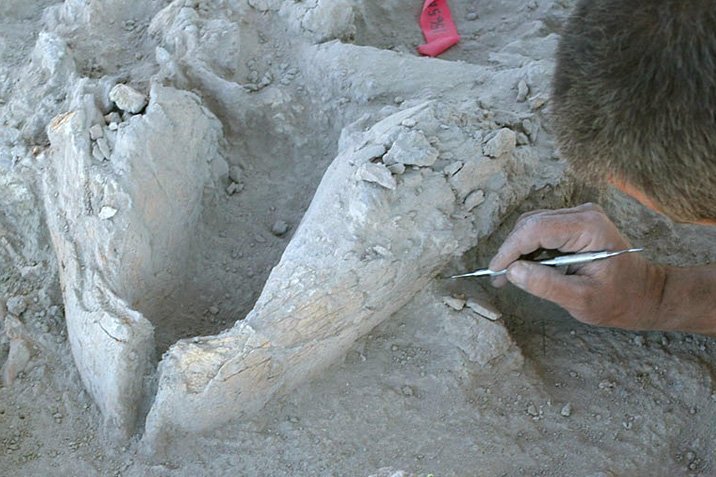 Clovis-Menschen auf Urelefantenjagd