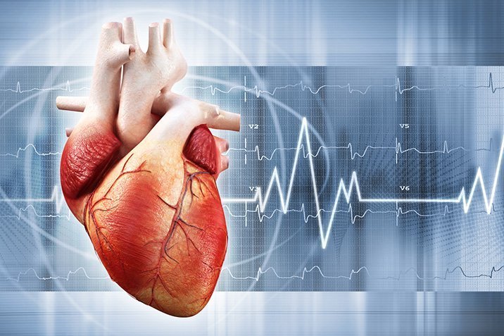 Gentherapie statt Schrittmacher