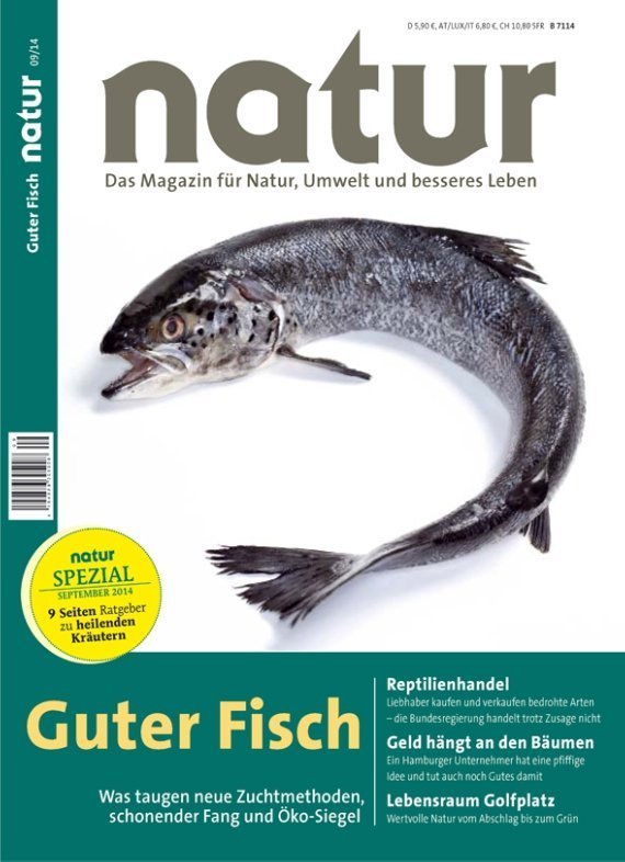 Nachhaltiger Fisch