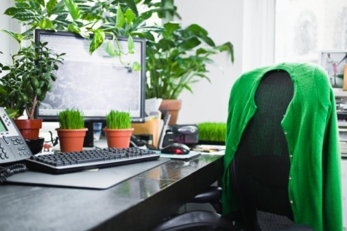 Büro-Pflanzen lassen die Produktivität erblühen