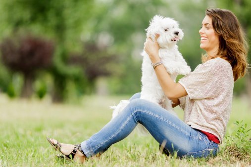 „Hunde-Muttis" in den Kopf geblickt