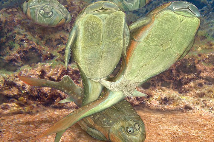 Kopulierende Urzeit-Fische