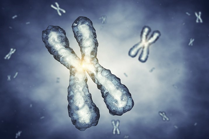 "Frankenstein"-DNA enträtselt