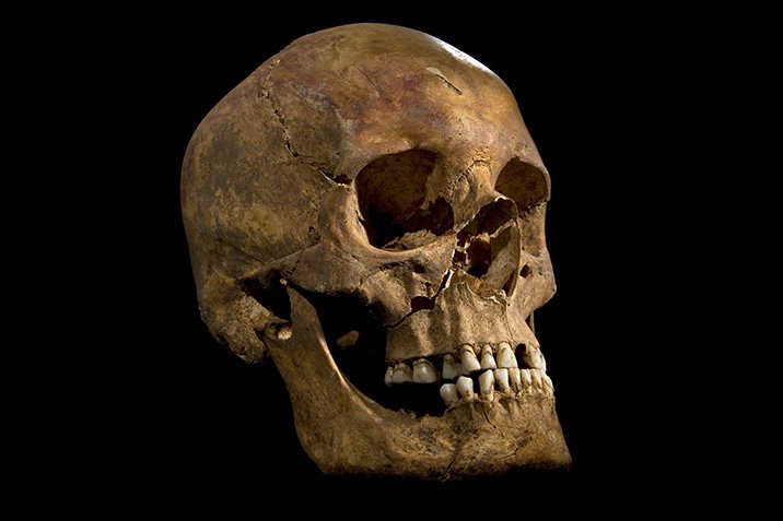 Richard III. und die Kuckuckskinder