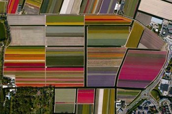 Leben im Anthropozän