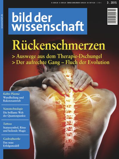 Rückenschmerzen<br/>> Auswege aus dem Therapie-Dschungel<br/>> Der aufrechte Gang
– Fluch der Evolution
