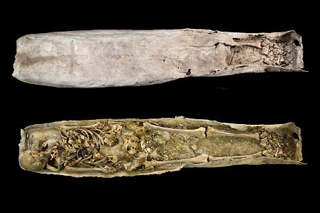 Bleisarg geöffnet: Wer lag neben König Richard III.?