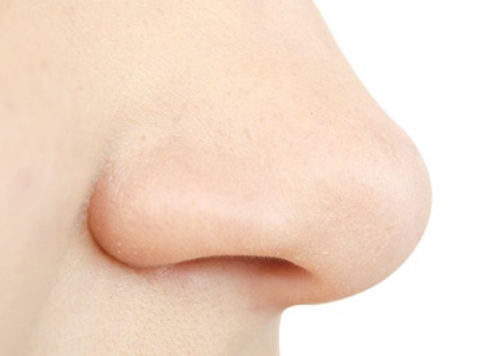 Hinweise auf menschliche Pheromone entdeckt