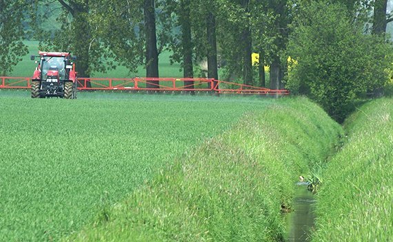 Insektizid-Belastung sprengt Richtwerte