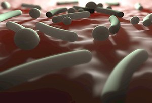 Mikrobiom: Artenreichtum dank Isolation